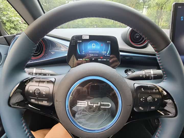 Фото 9 - BYD Dolphin