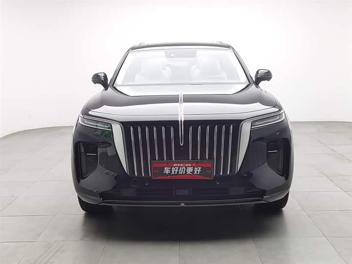 Фото 3 - Hongqi E-HS9