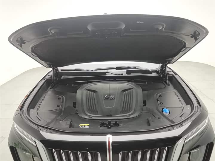 Фото 6 - Hongqi E-HS9