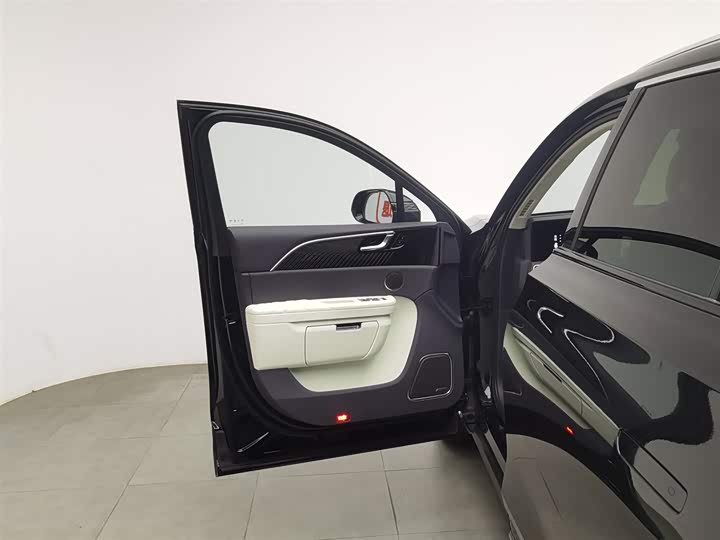 Фото 8 - Hongqi E-HS9