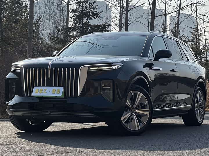 Фото 1 - Hongqi E-HS9