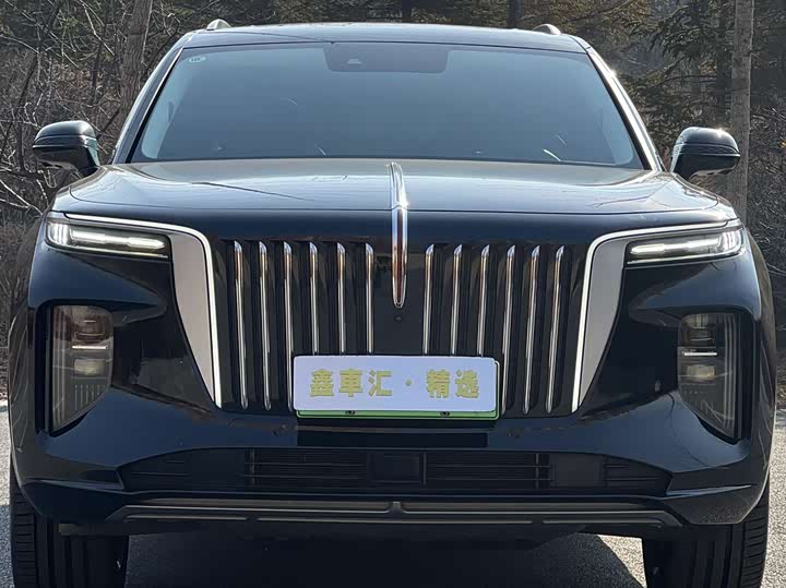 Фото 2 - Hongqi E-HS9