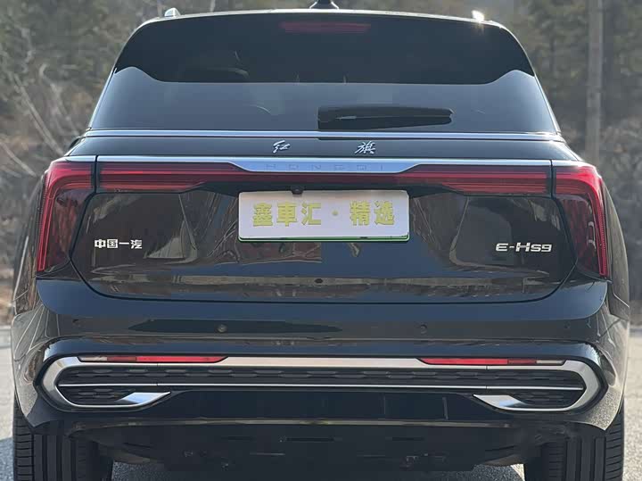 Фото 5 - Hongqi E-HS9