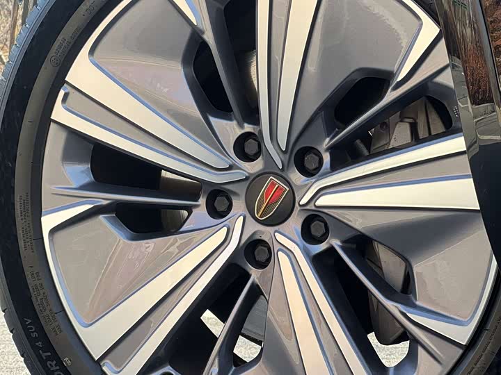 Фото 6 - Hongqi E-HS9