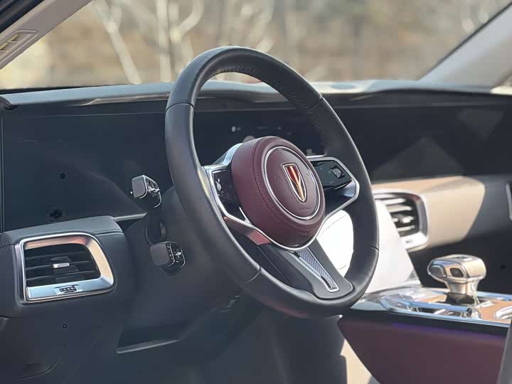 Фото 9 - Hongqi E-HS9