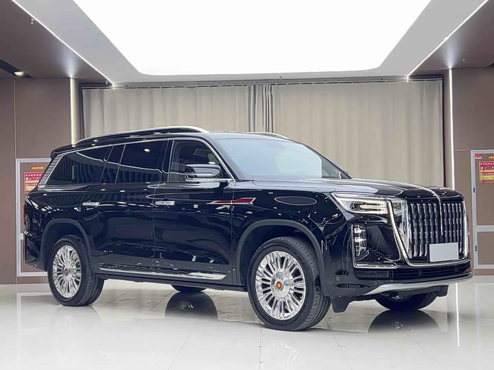 Фото 3 - Hongqi LS7 (Guoyao)
