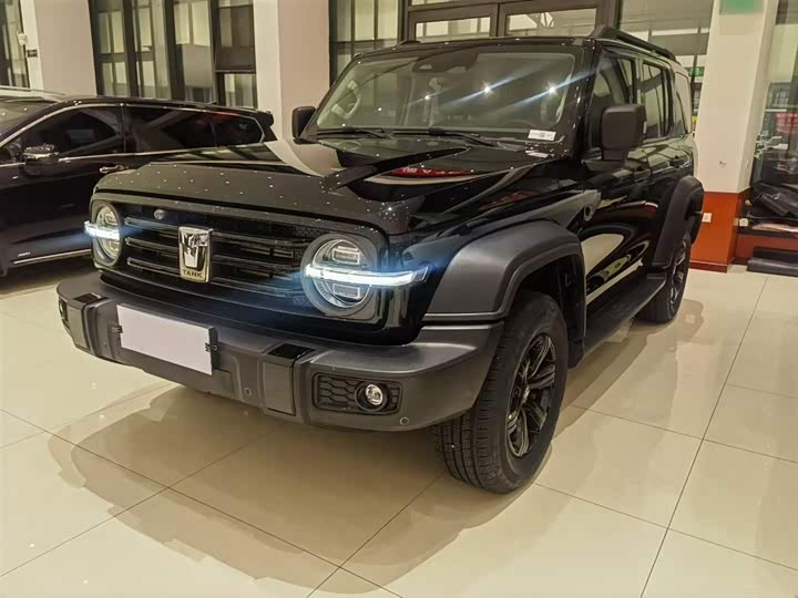 Фото 1 - Tank 300