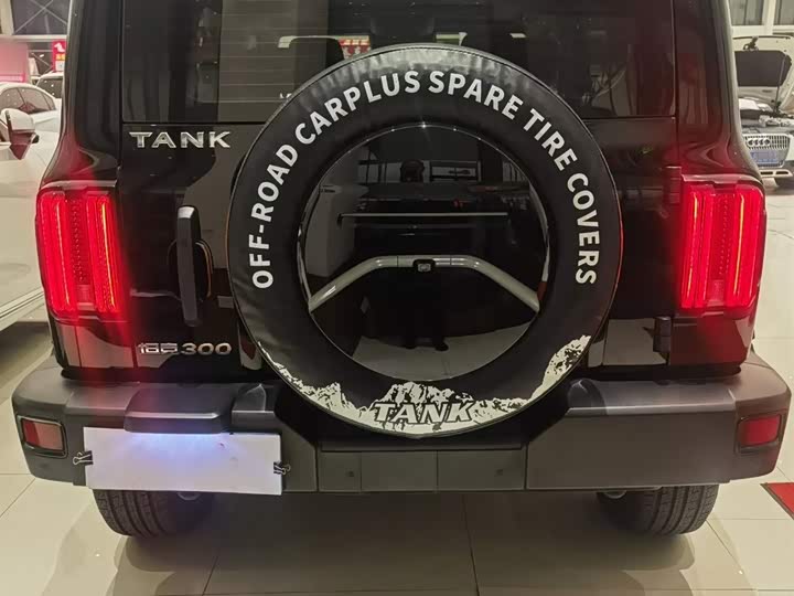 Фото 8 - Tank 300