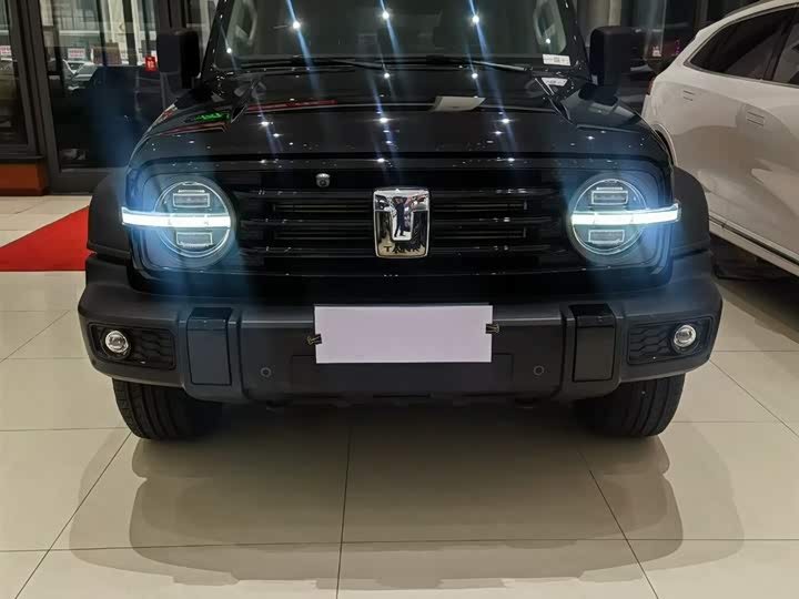 Фото 9 - Tank 300