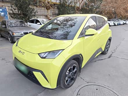 Фото 1 - BYD Seagull