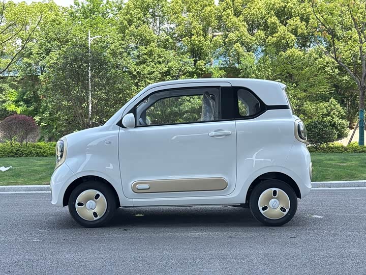 Фото 4 - Bestune Pony