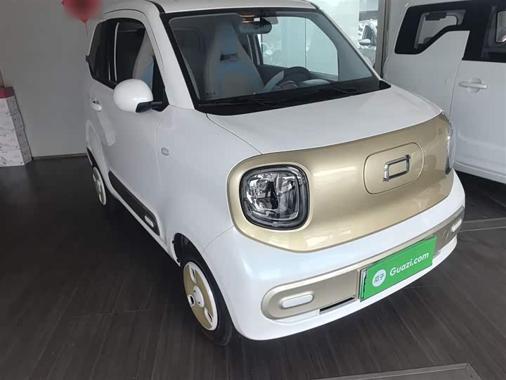 Фото 4 - Bestune Pony