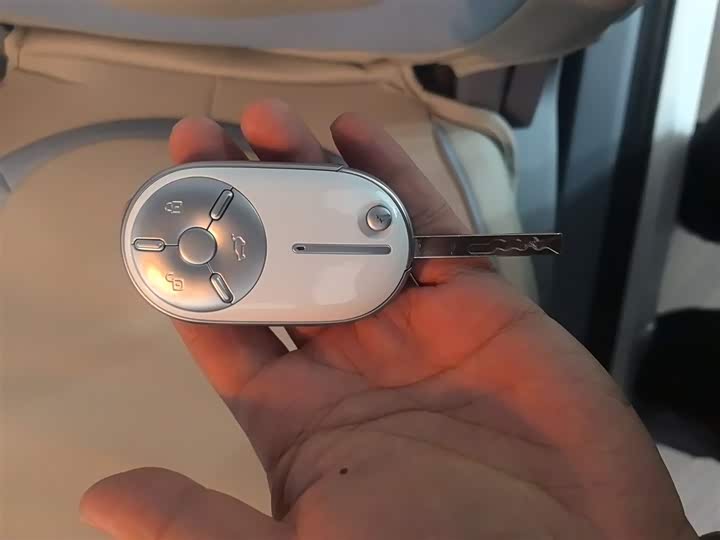 Фото 9 - Bestune Pony