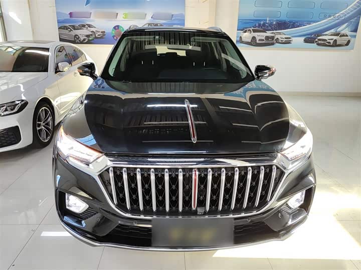 Фото 3 - Hongqi HS5