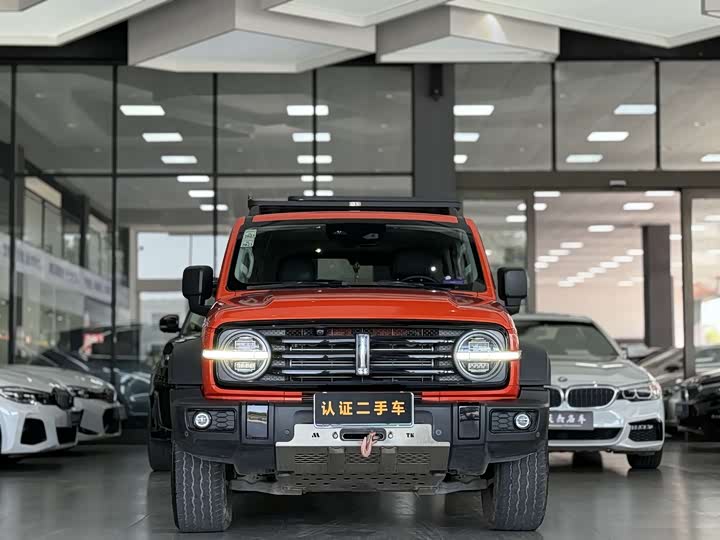 Фото 2 - Tank 300