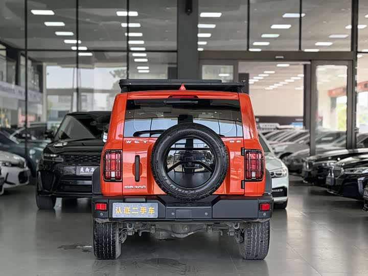 Фото 8 - Tank 300