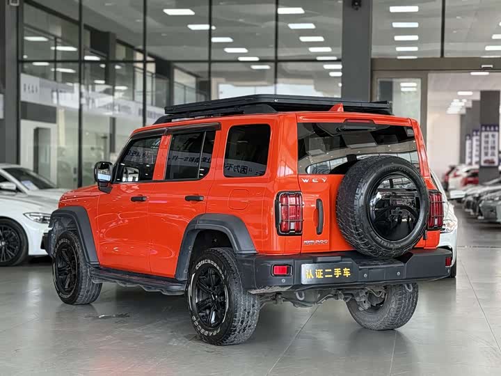 Фото 9 - Tank 300