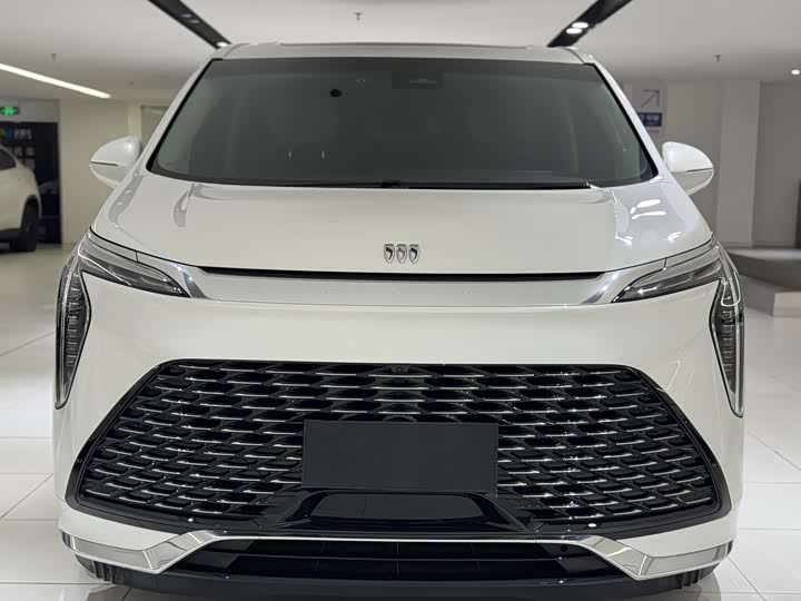 Фото 2 - Buick GL8 Century