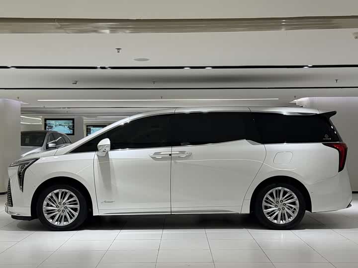 Фото 4 - Buick GL8 Century