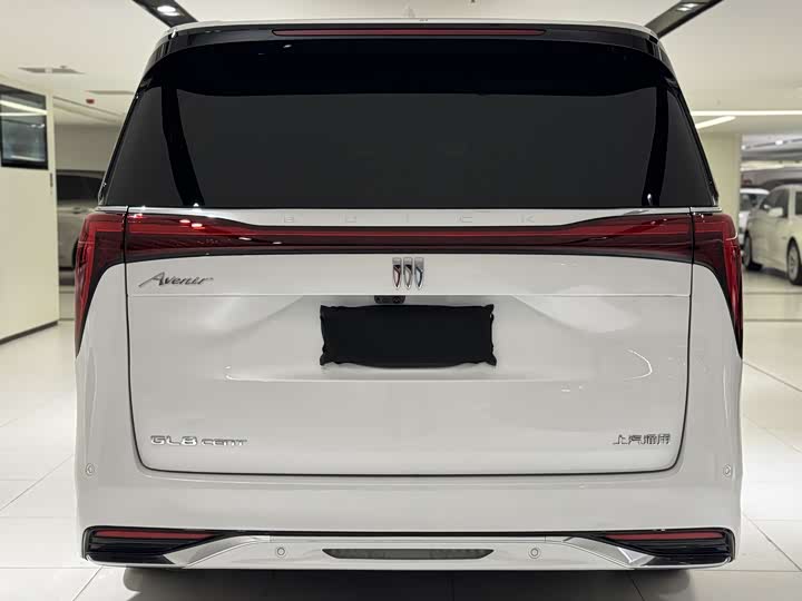 Фото 6 - Buick GL8 Century