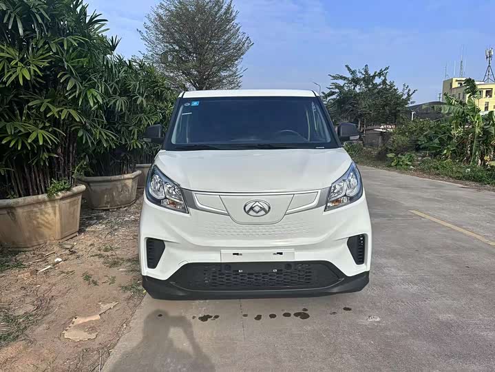 Фото 2 - Maxus EV30