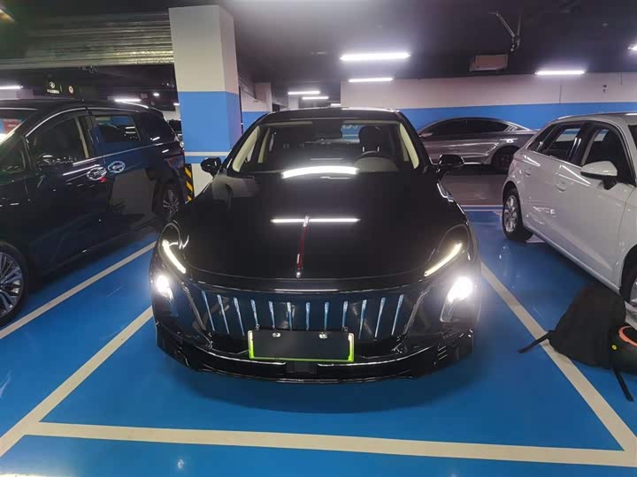 Фото 3 - Hongqi E-QM5