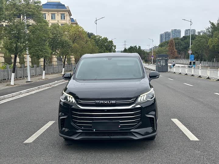 Фото 2 - Maxus G50