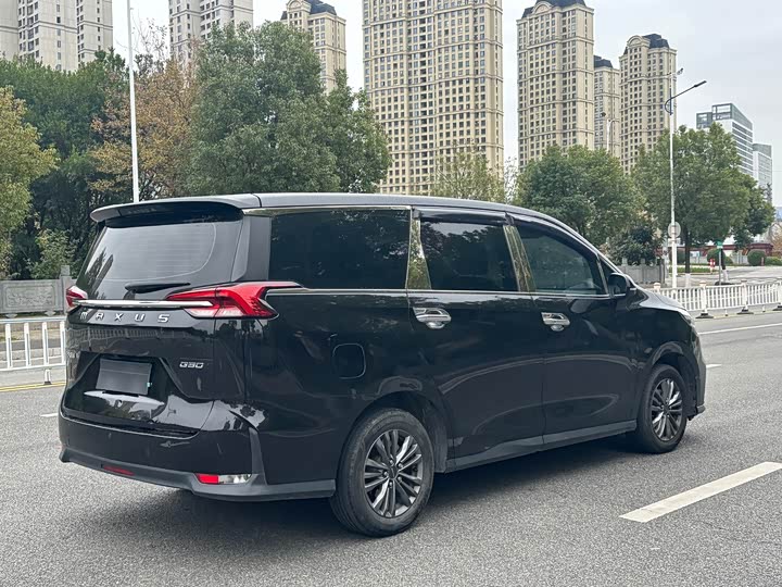 Фото 5 - Maxus G50