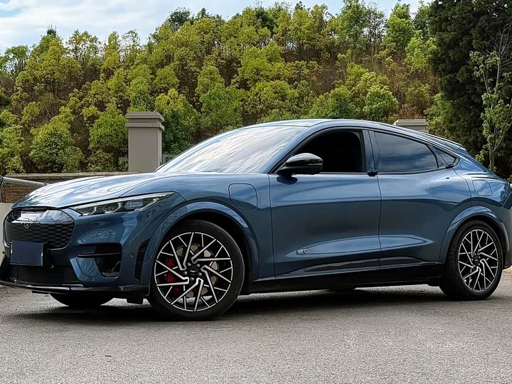 Фото 1 - Ford Mustang Mach-E