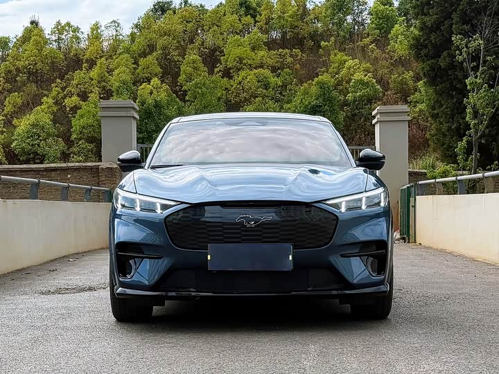 Фото 2 - Ford Mustang Mach-E