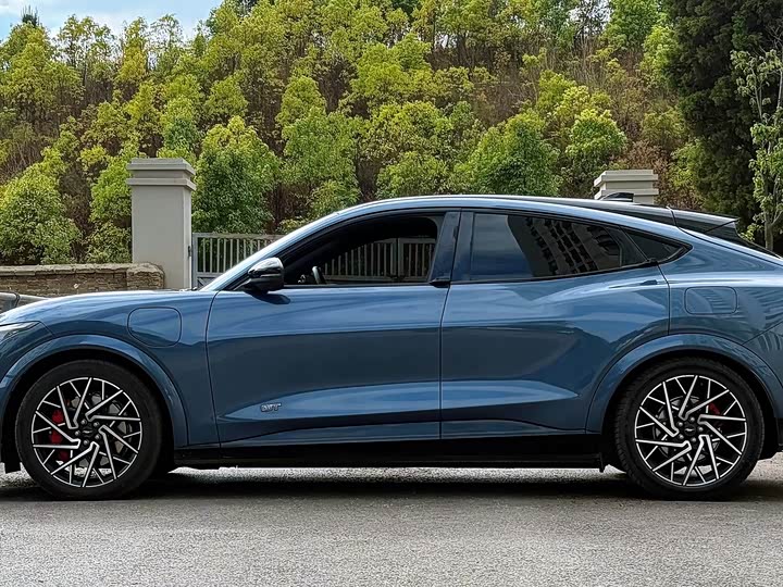 Фото 3 - Ford Mustang Mach-E