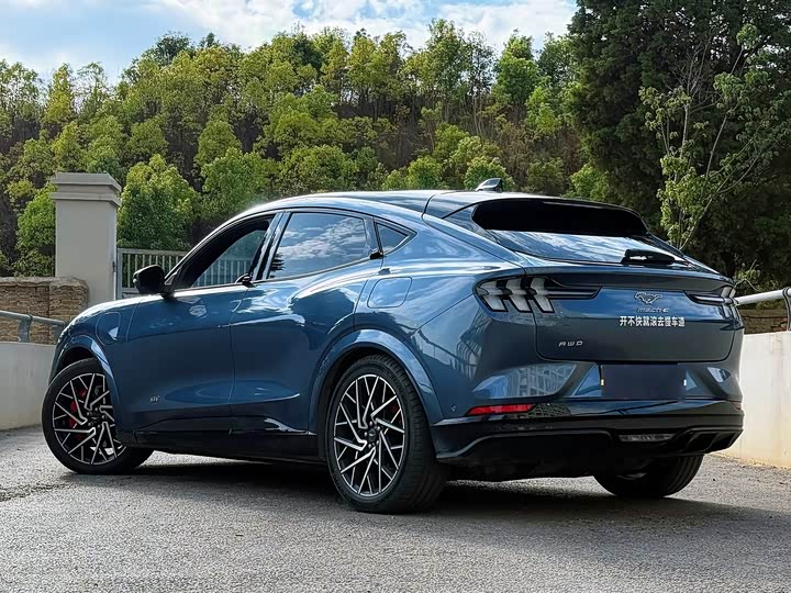 Фото 4 - Ford Mustang Mach-E