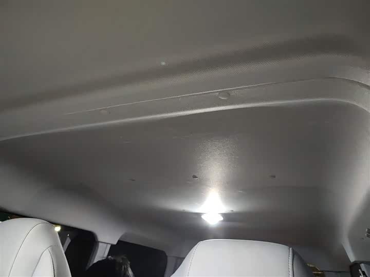 Фото 9 - Maxus Dana V1