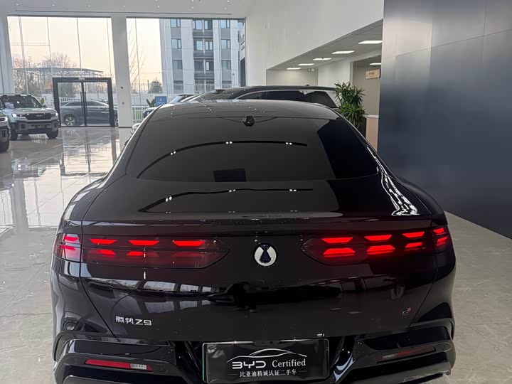 Фото 8 - Denza Z9