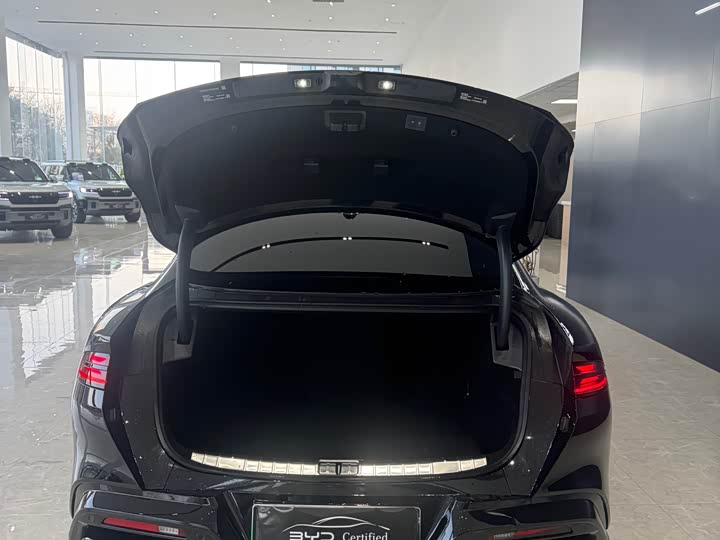 Фото 9 - Denza Z9