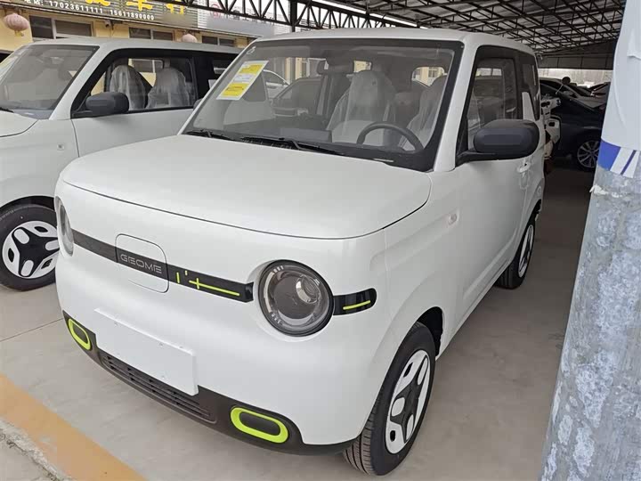 Фото 1 - Geely Galaxy Panda Mini