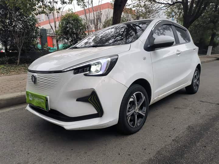 Фото 2 - Changan BenBen E-Star