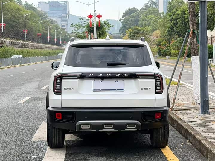 Фото 5 - Haval Dargo