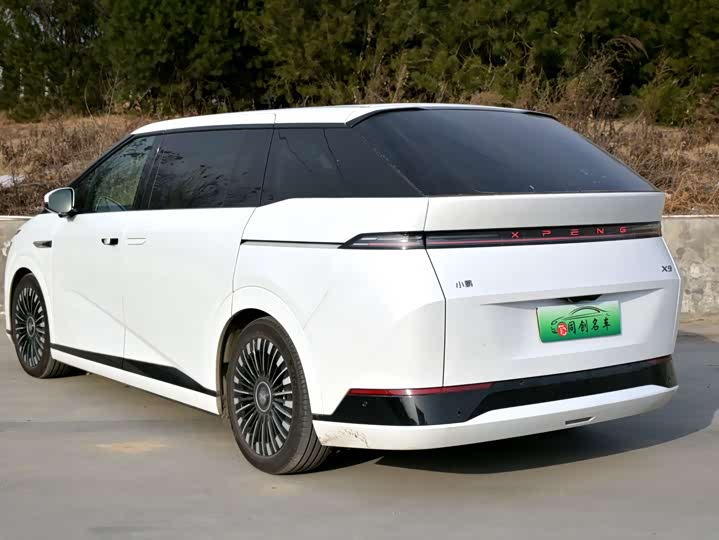Фото 4 - XPeng X9