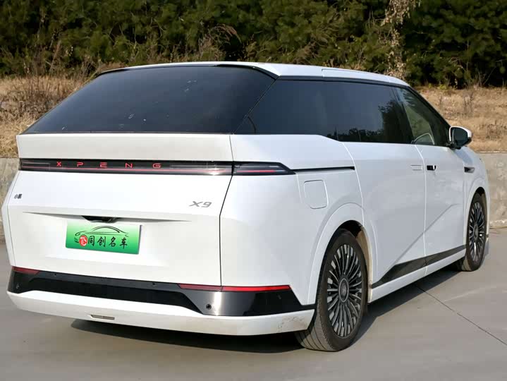 Фото 6 - XPeng X9