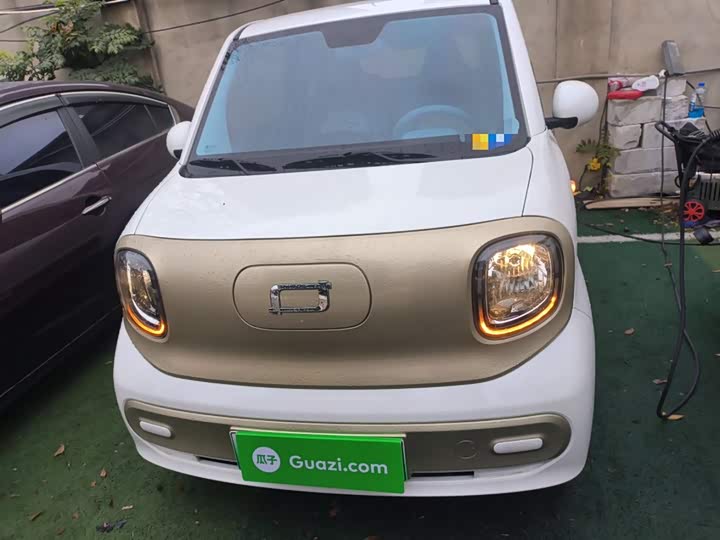 Фото 3 - Bestune Pony