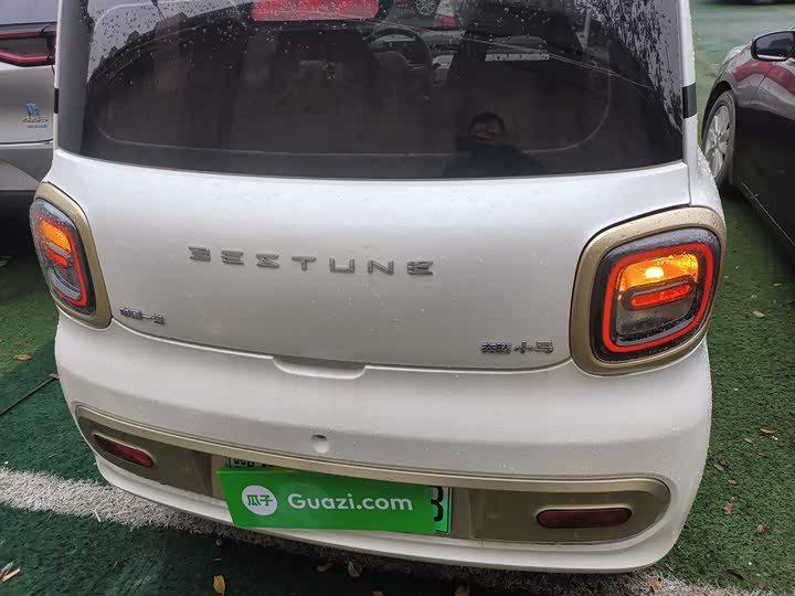 Фото 6 - Bestune Pony