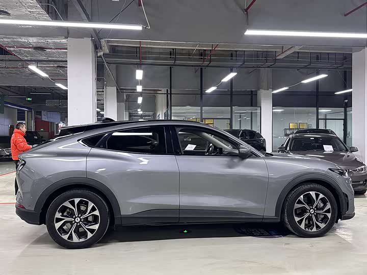 Фото 4 - Ford Mustang Mach-E