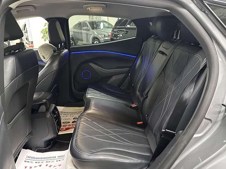 Фото 9 - Ford Mustang Mach-E