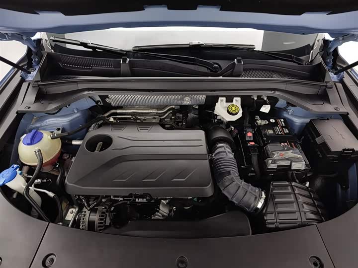 Фото 6 - Exeed RX