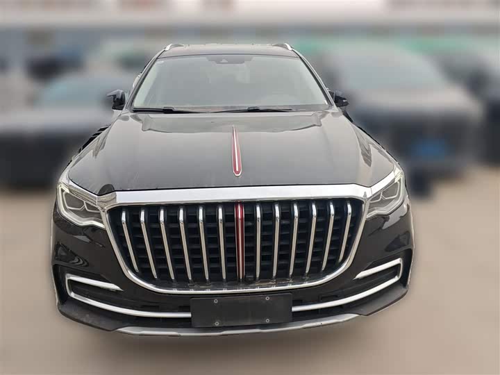 Фото 5 - Hongqi HS7