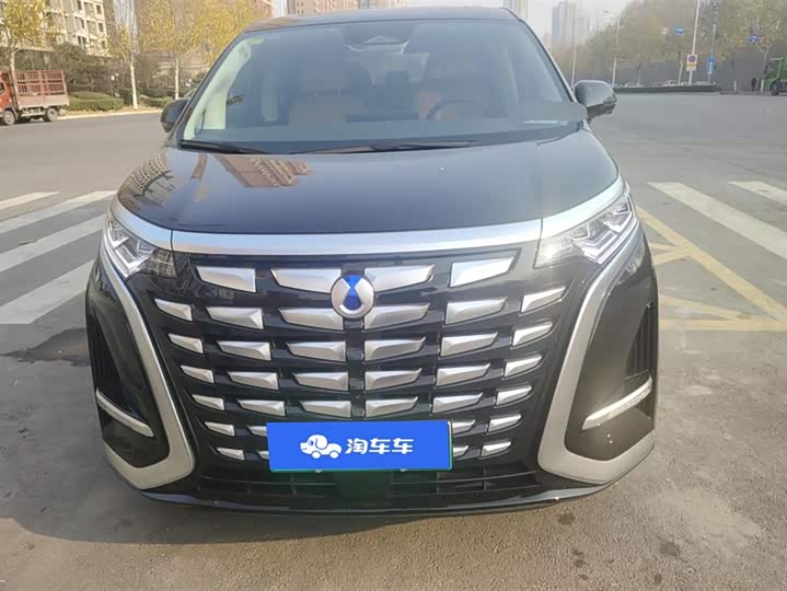 Фото 2 - Denza D9