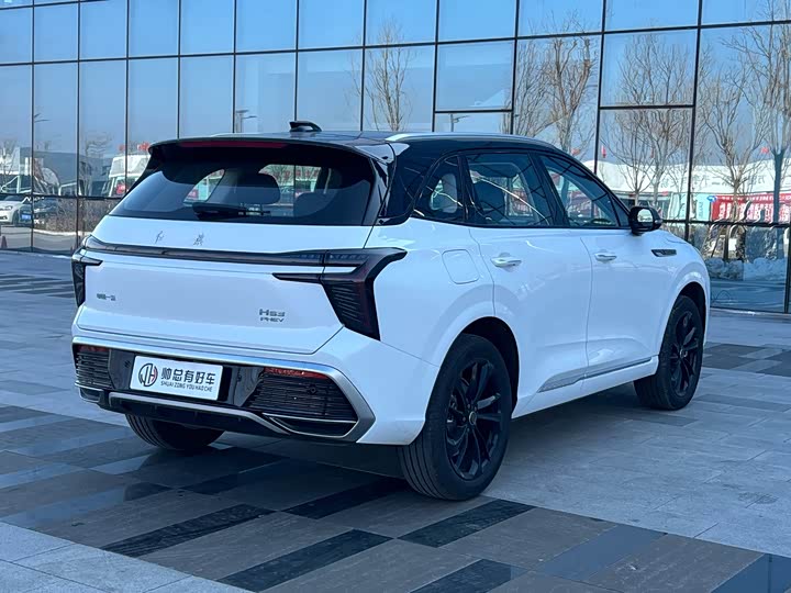 Фото 6 - Hongqi HS3 Hybrid