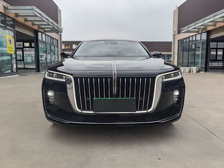 Фото 2 - Hongqi H9