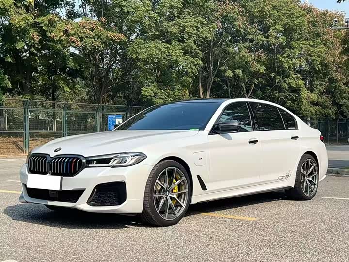 Фото 1 - BMW 5 Series Hybrid